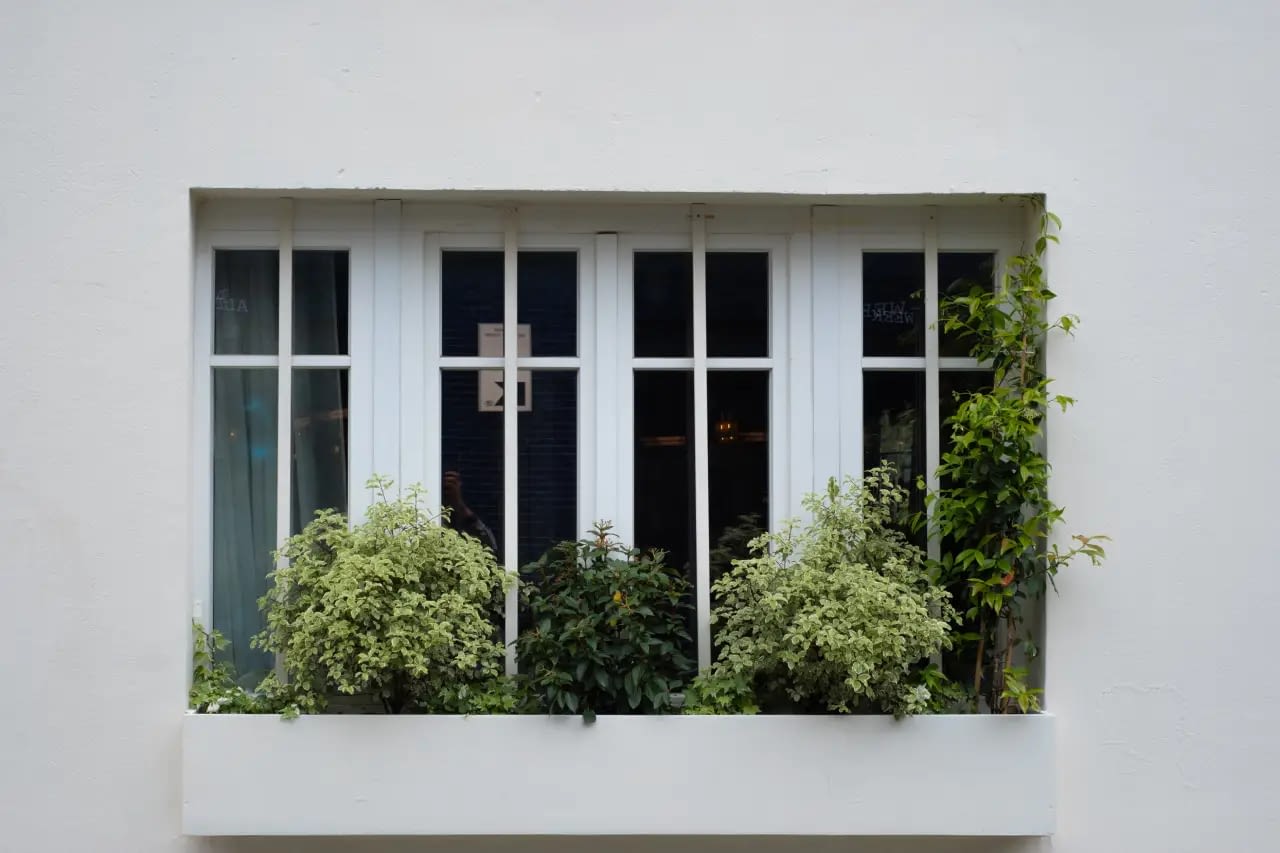 Photo supplémentaire 15