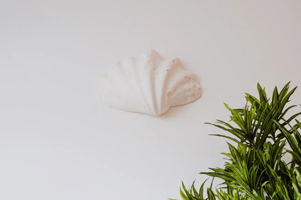 Photo supplémentaire 5