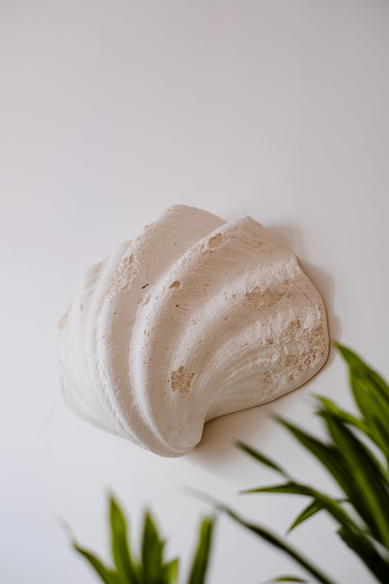 Photo supplémentaire 10